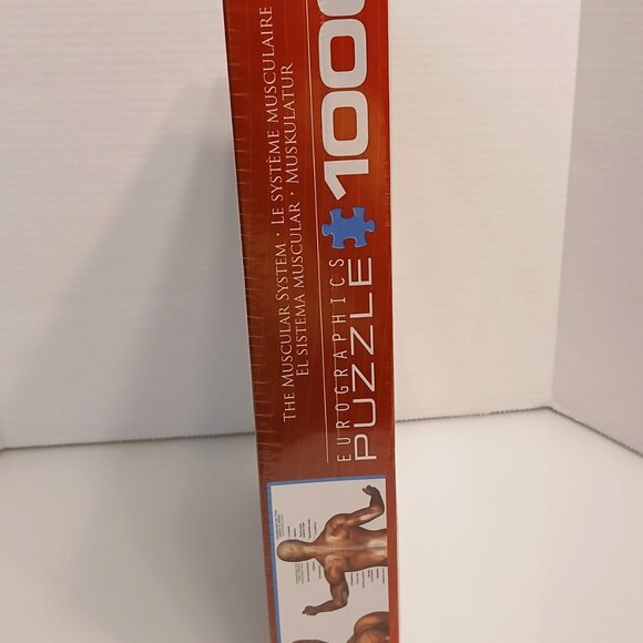 The Muscular System 1000 Piece Jigsaw Puzzle Eurographics New - Picture 3 of 7